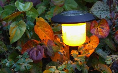 Top 5 Benefits of Solar Lighting