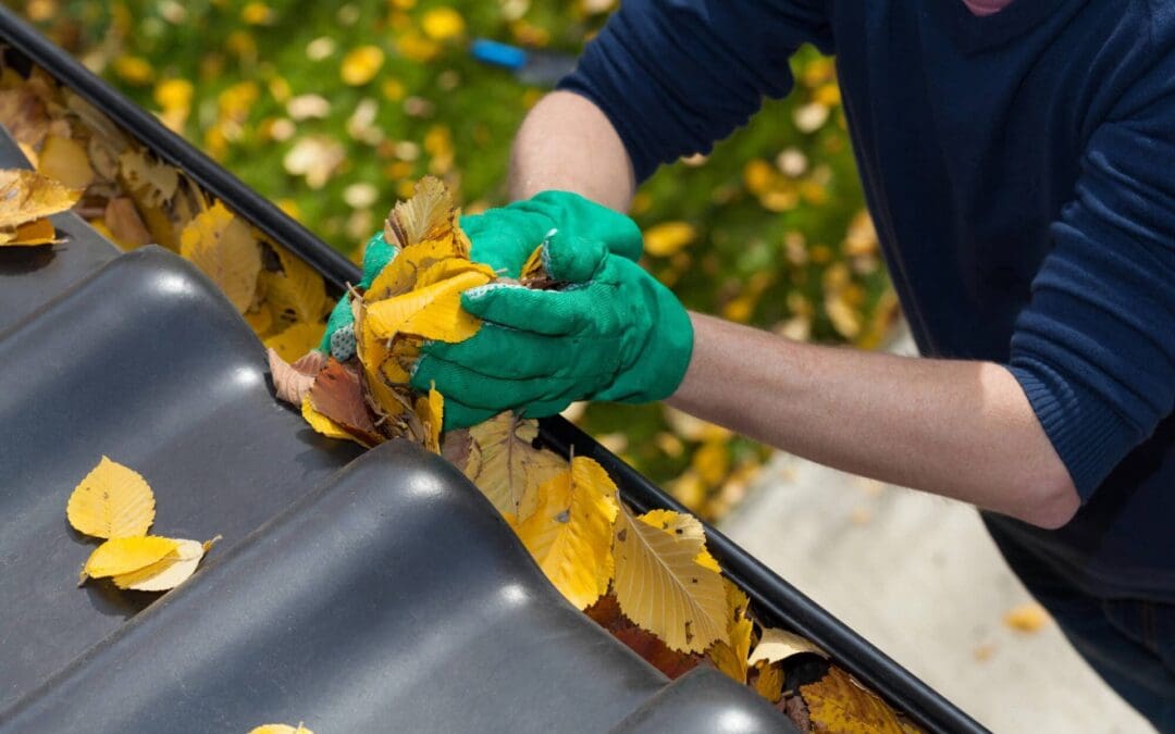 Autumn Ready: Your Essential Fall Home Maintenance Checklist